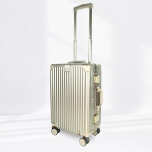 Travel Ease Suitcase Luggage Oslo 20 inch Gold (Cabin) 2