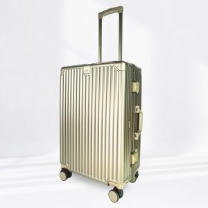 Travel Ease Suitcase Luggage Oslo 24 inch Gold (Cabin) 2